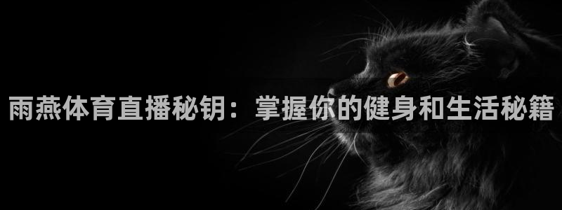 雨燕体育直播秘钥：掌握你的健身和生活秘籍