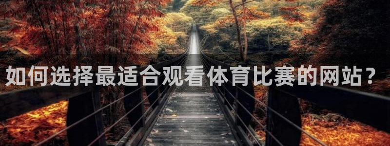 如何选择最适合观看体育比赛的网站？