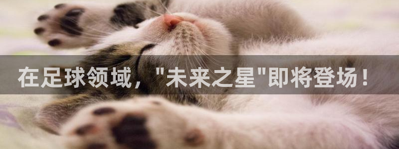 在足球领域，\