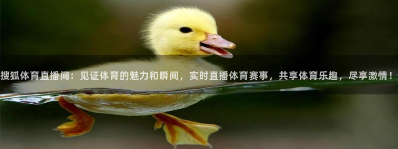 搜狐体育直播间：见证体育的魅力和瞬间，实时直播体育赛事，共享体育乐趣，尽享激情！