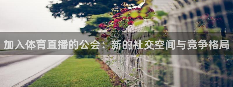 加入体育直播的公会：新的社交空间与竞争格局