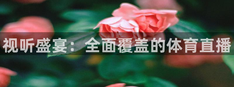 视听盛宴：全面覆盖的体育直播