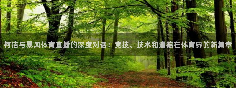 柯洁与暴风体育直播的深度对话：竞技、技术和道德在体育界的新篇章