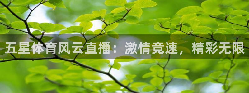 五星体育风云直播：激情竞速，精彩无限