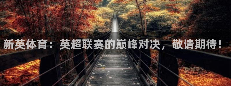 新英体育：英超联赛的巅峰对决，敬请期待！