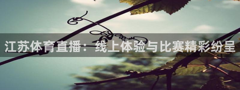 江苏体育直播：线上体验与比赛精彩纷呈
