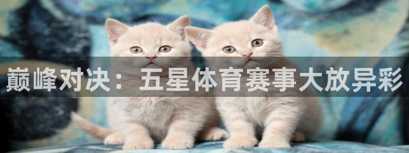 巅峰对决：五星体育赛事大放异彩