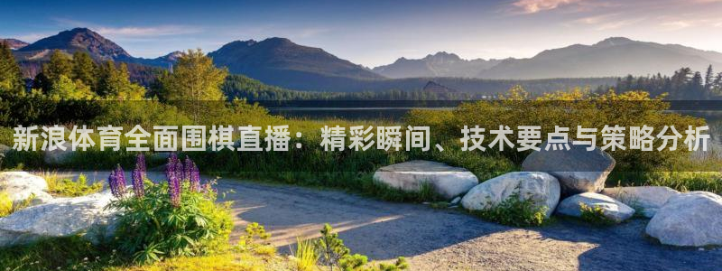 新浪体育全面围棋直播：精彩瞬间、技术要点与策略分析