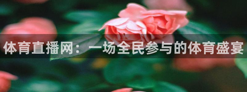 体育直播网：一场全民参与的体育盛宴