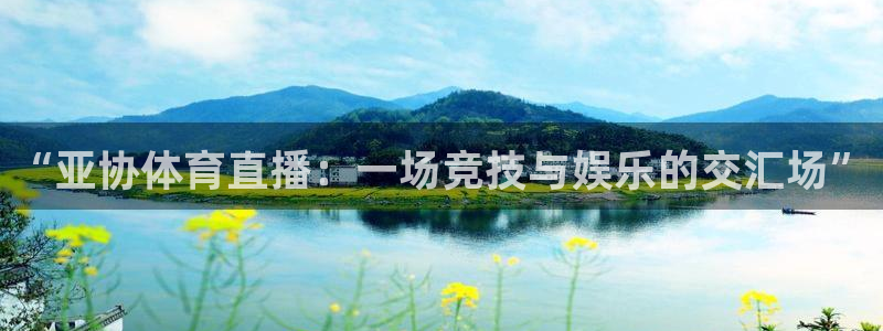 “亚协体育直播：一场竞技与娱乐的交汇场”