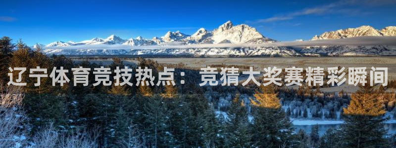 辽宁体育竞技热点：竞猜大奖赛精彩瞬间