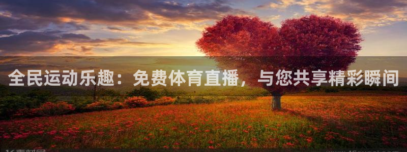 全民运动乐趣：免费体育直播，与您共享精彩瞬间